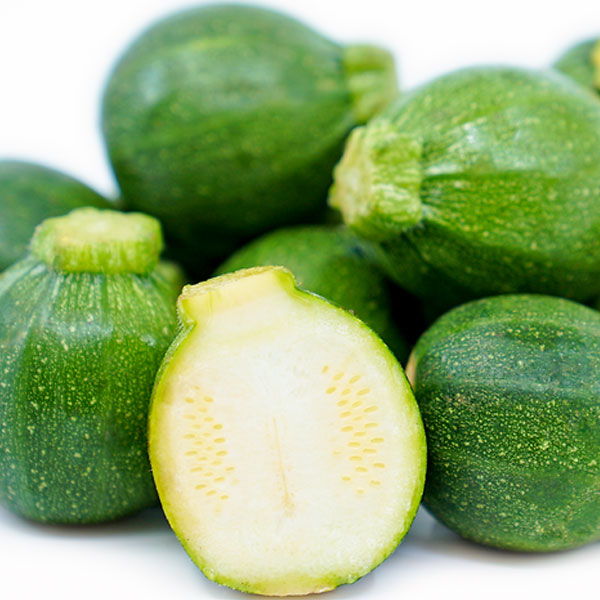 Squash - Summer 'Eight Ball' - 4.5" pot