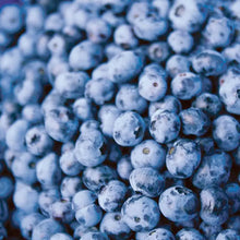Load image into Gallery viewer, Blueberry &#39;Northblue&#39; - Vaccinium corymbosum &#39;Northblue&#39; - 3 Gallon Pot
