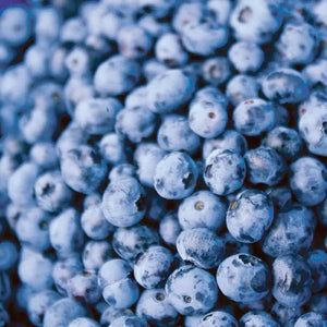 Blueberry 'Northblue' - Vaccinium corymbosum 'Northblue' - 3 Gallon Pot